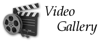 Really Cool Videos